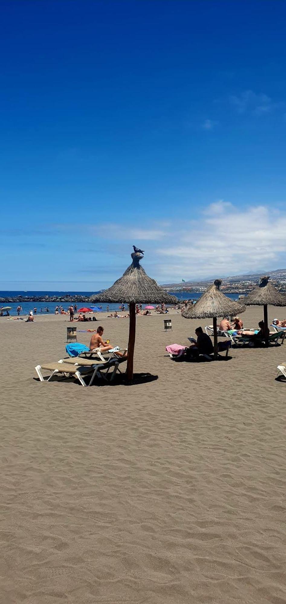 Wonderful White Appartament In Las Tortugas Playa de las Américas Exterior foto