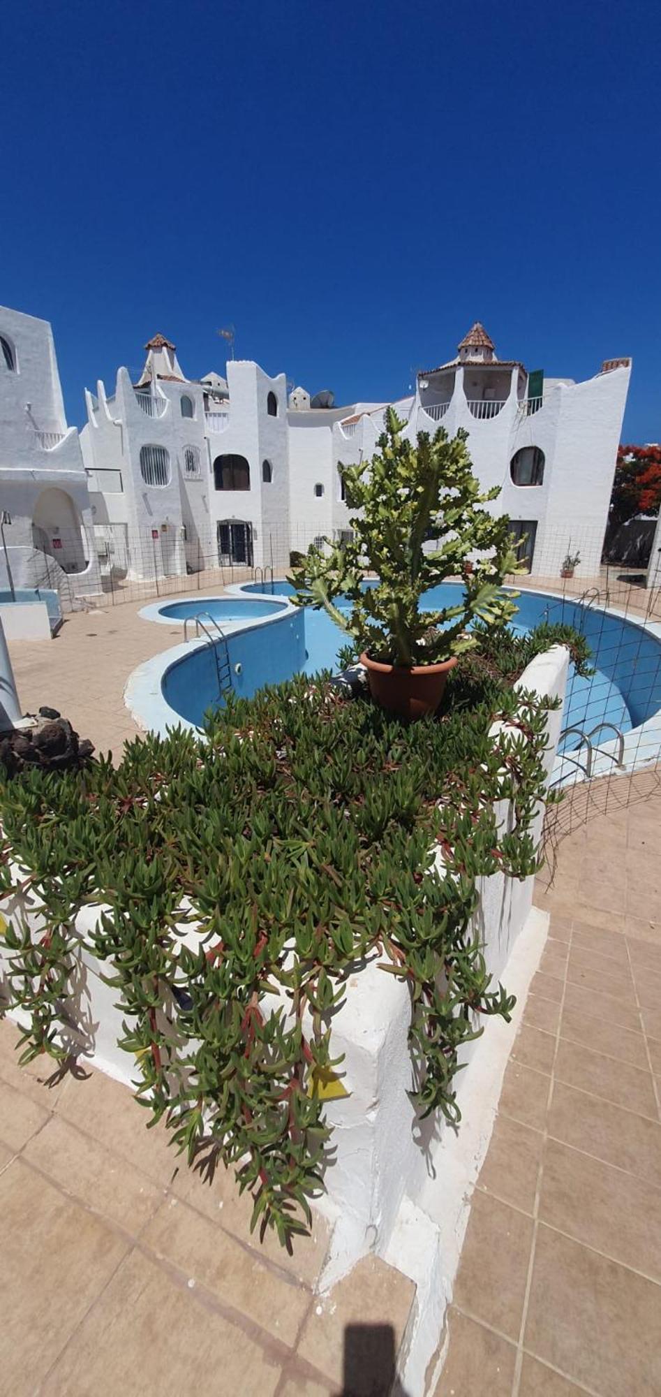 Wonderful White Appartament In Las Tortugas Playa de las Américas Habitación foto
