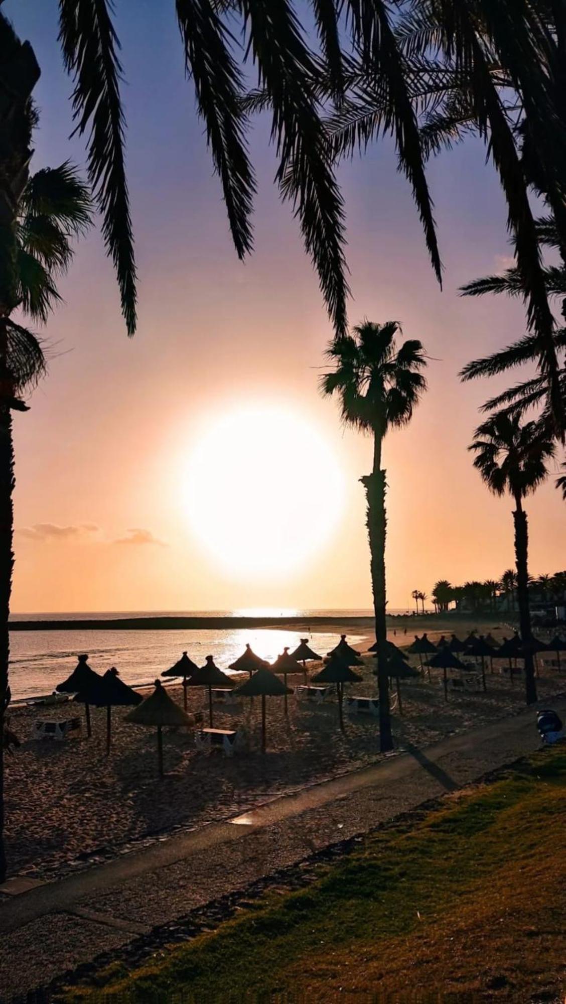 Wonderful White Appartament In Las Tortugas Playa de las Américas Exterior foto